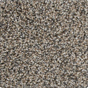 Karastan Magnetic Allure Carpet